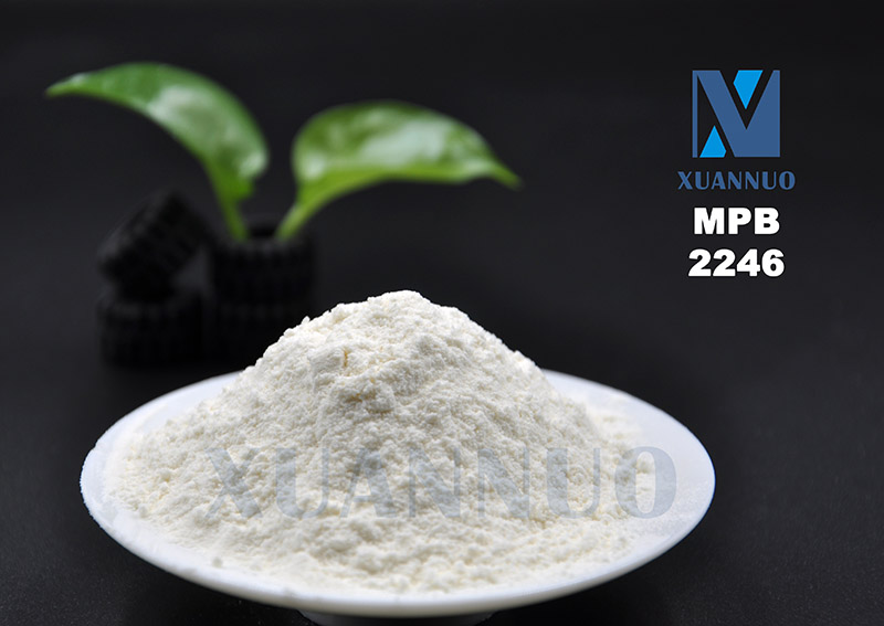 2,2 '- metileno doble, 4 - metileno - 6 - terc - butofenol, 2246, mpb, CAS 119 - 47 - 1 